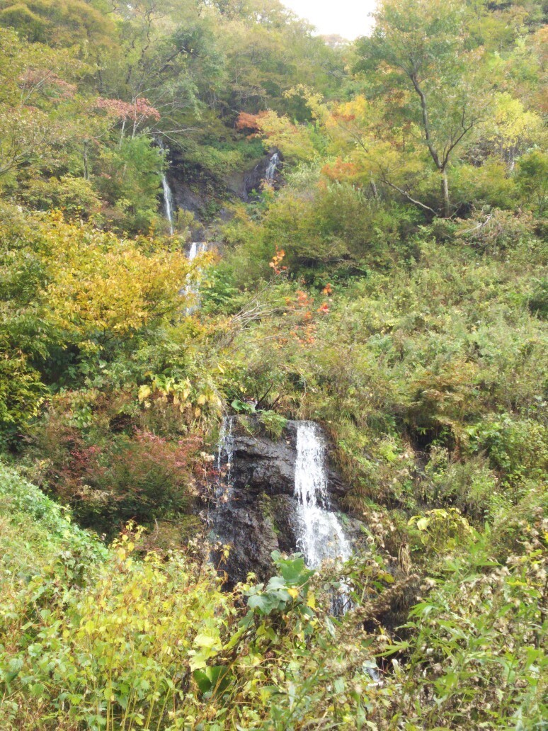 c0077338_06302668.jpg