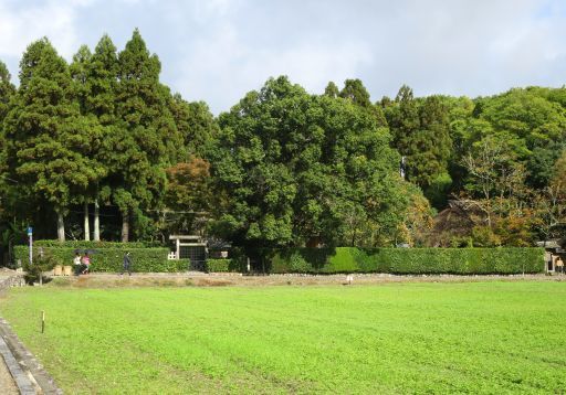 b0178339_15024581.jpg