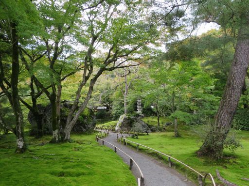 b0178339_16012680.jpg