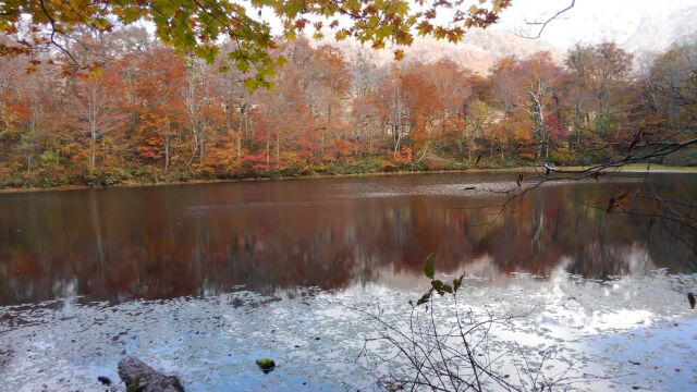 c0194042_1641284.jpg