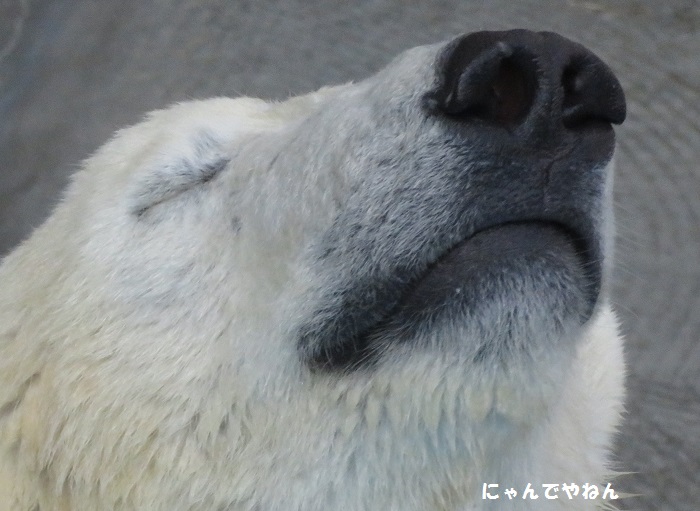 f0002743_15554599.jpg