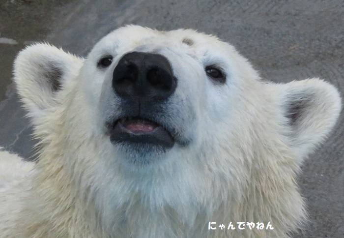 f0002743_15563526.jpg