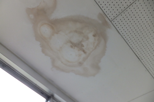 e0041047_05385556.jpg