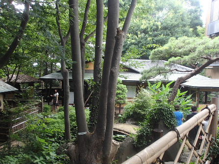 d0063149_12261897.jpg