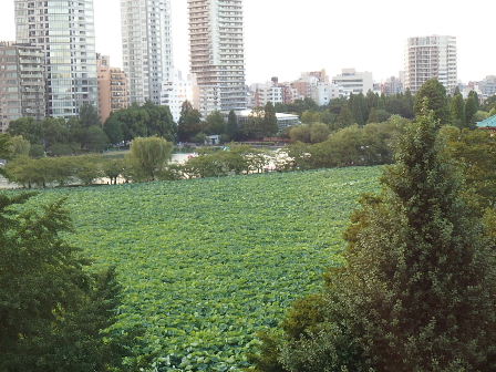 d0063149_12351691.jpg