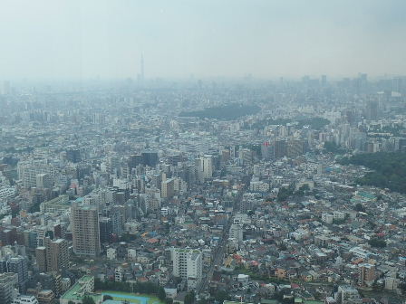 d0063149_12355274.jpg