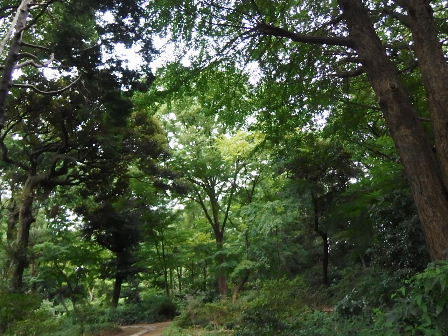 d0063149_12360948.jpg