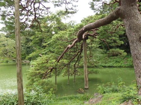 d0063149_12361057.jpg