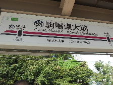 d0063149_15054639.jpg