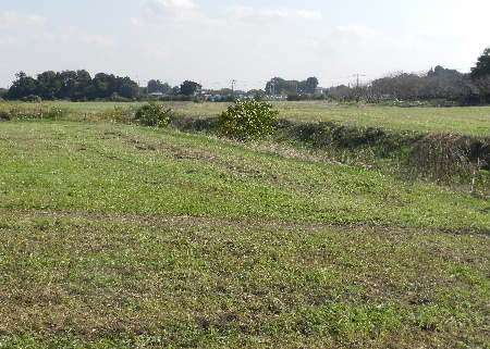 e0172950_20462084.jpg