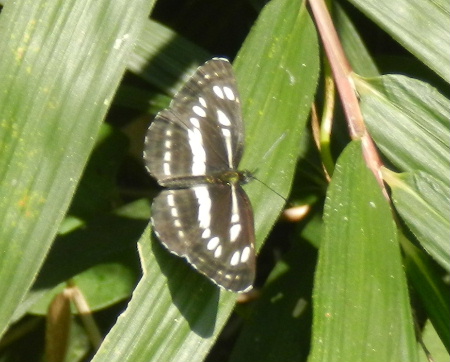 e0172950_21112728.jpg