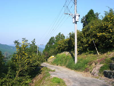a0254656_17155785.jpg