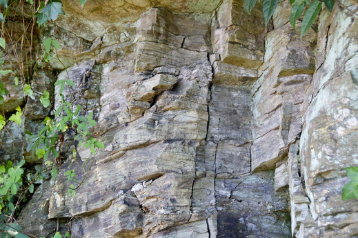 b0242956_8125413.jpg