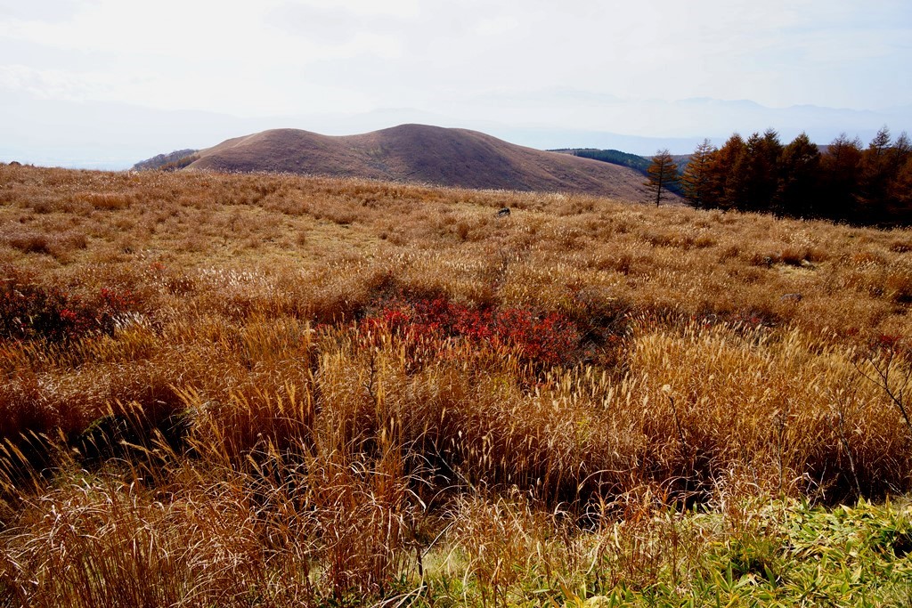e0223456_09313513.jpg
