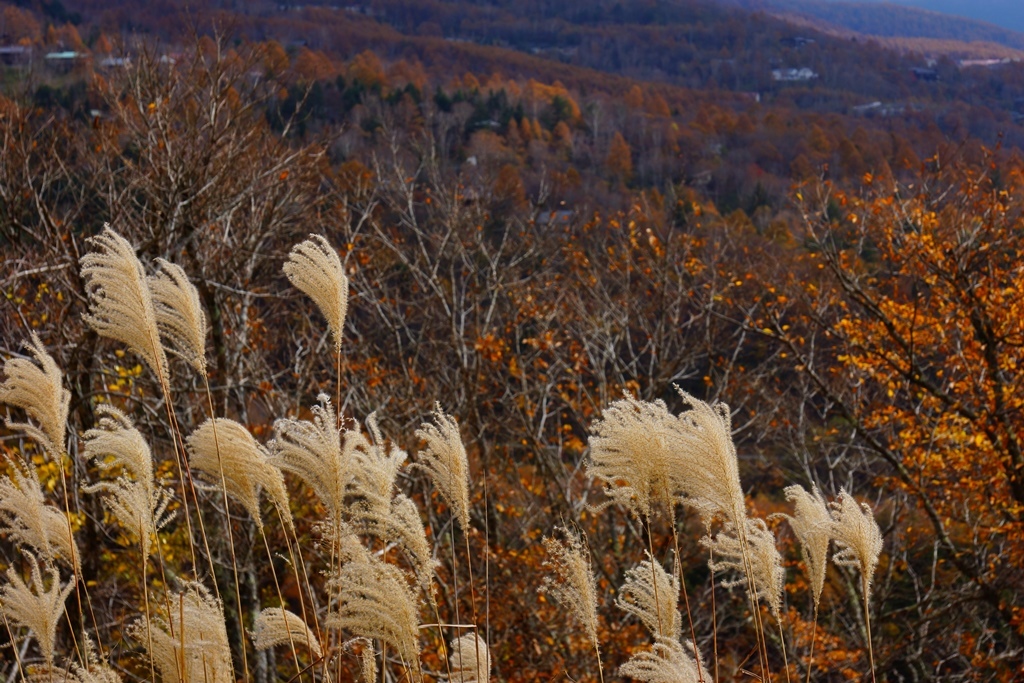 e0223456_09314750.jpg