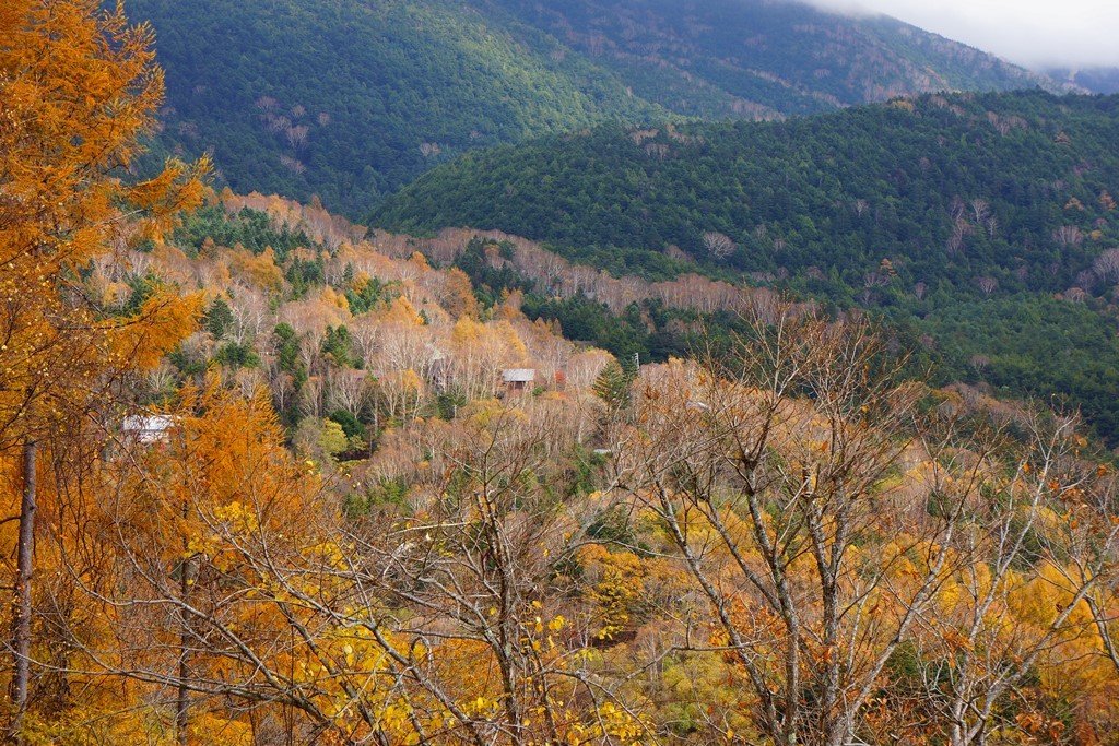 e0223456_09322897.jpg