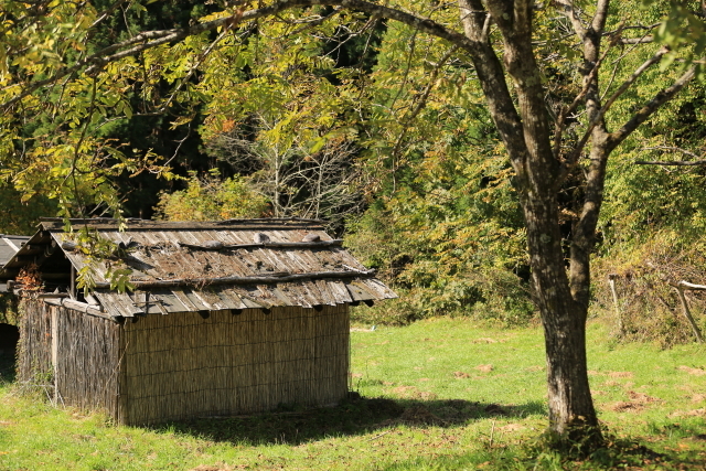 c0251759_20370317.jpg