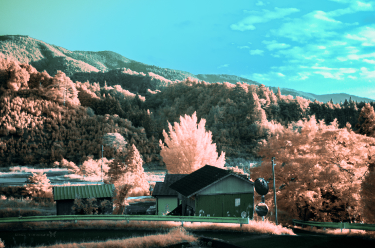e0350463_20455992.jpg