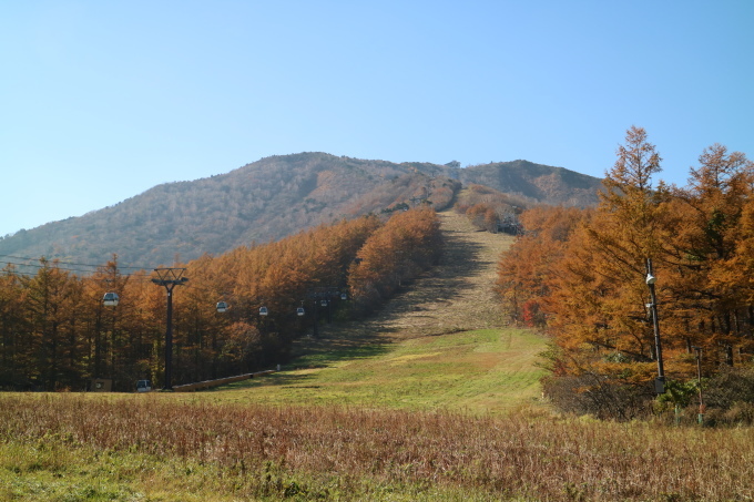f0345263_00105584.jpg