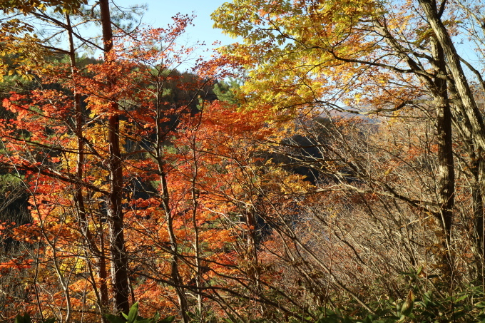 f0345263_23280678.jpg