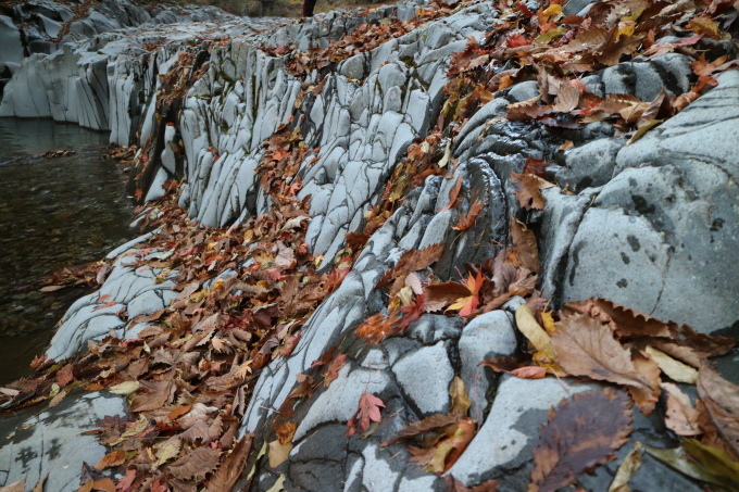 f0345263_23293029.jpg