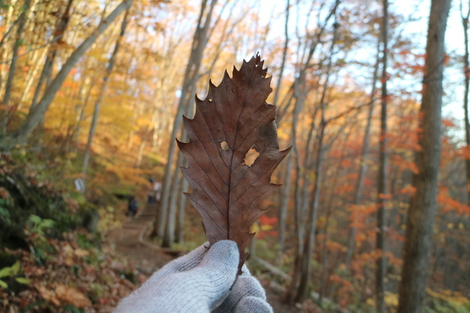 f0345263_23301301.jpg