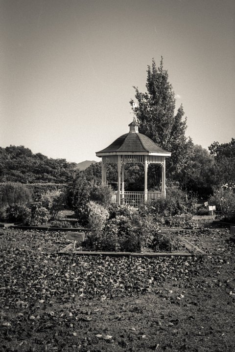 b0175964_15404249.jpg