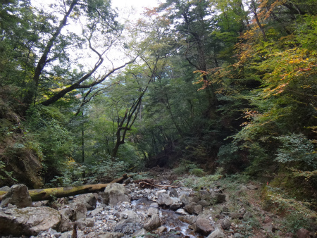d0182075_03231909.jpg
