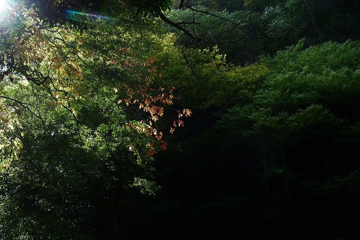 b0326576_08223355.jpg