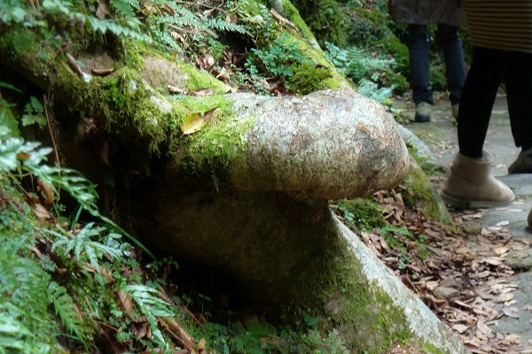 b0326576_08280904.jpg