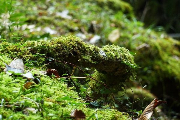 b0326576_08291108.jpg
