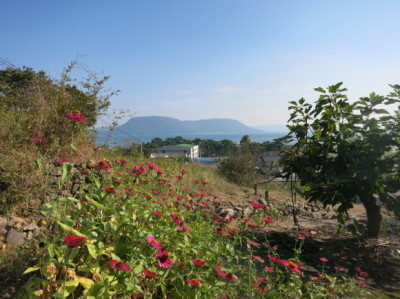 e0012580_15103300.jpg