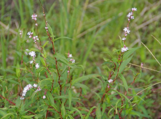 c0144185_16465650.jpg