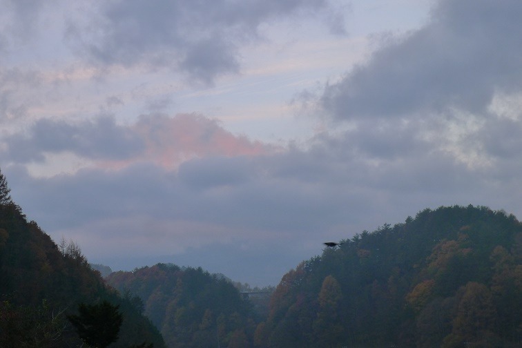 a0130586_9101763.jpg