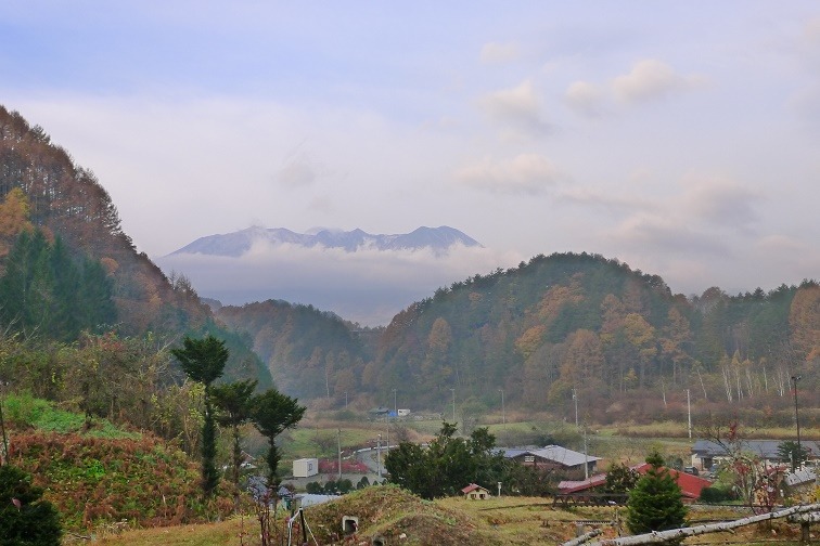 a0130586_911889.jpg