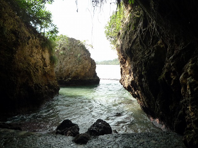 b0287088_1745423.jpg