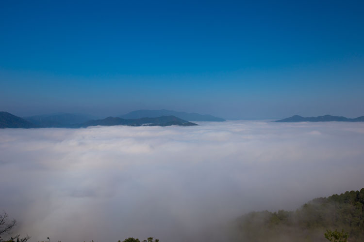 e0051888_0561178.jpg