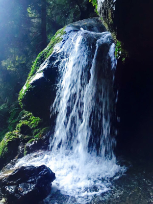 e0184598_12203793.jpg