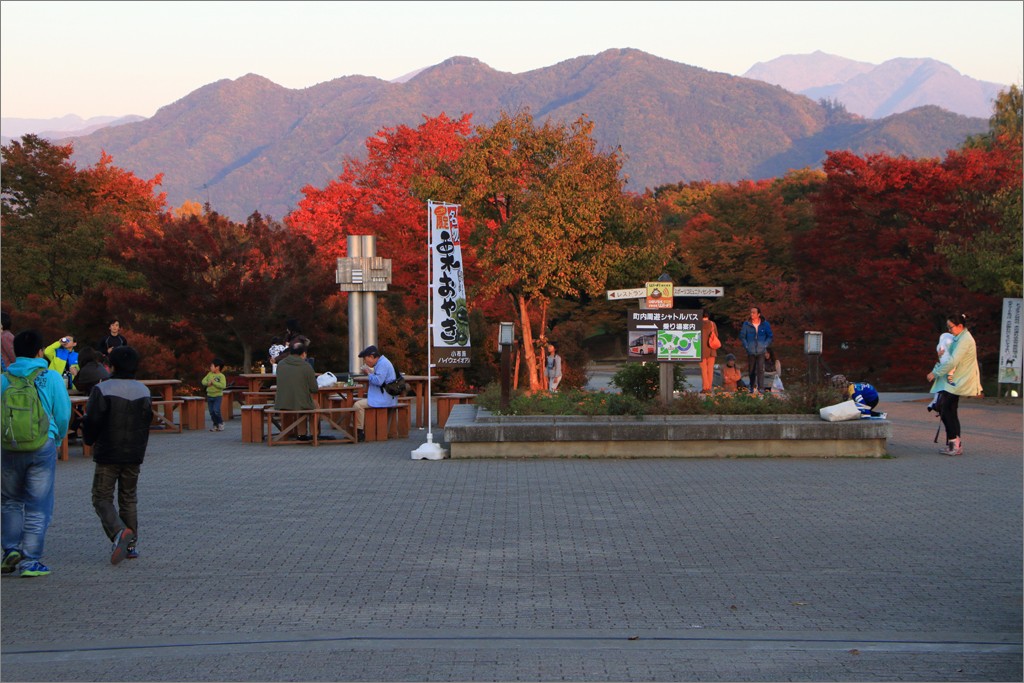 d0353401_17523169.jpg
