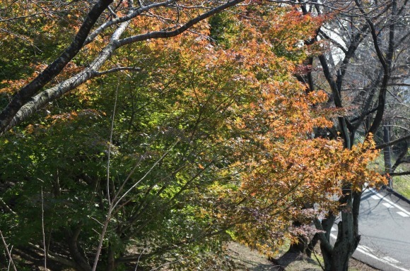 a0198715_11122805.jpg