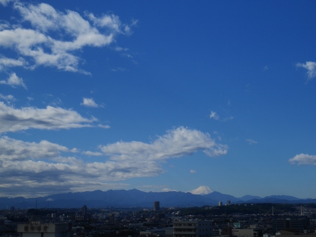 f0181217_17503051.jpg