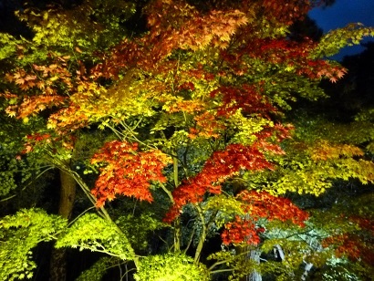 e0135219_13175852.jpg