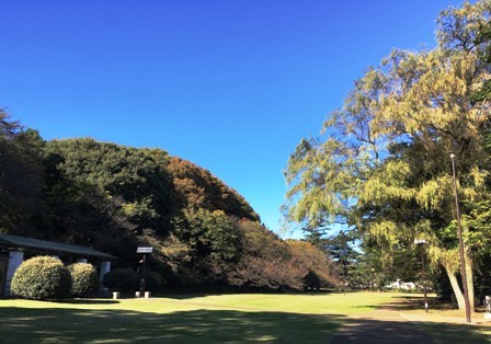 e0346427_19381993.jpg