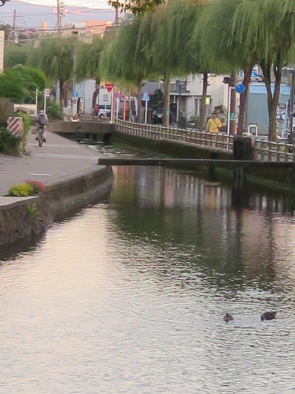 d0352628_1085896.jpg