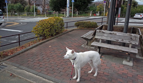 a0117039_20514169.jpg
