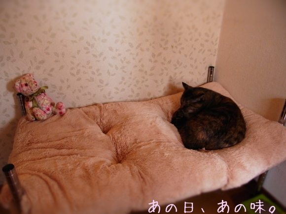 a0305046_10212403.jpg