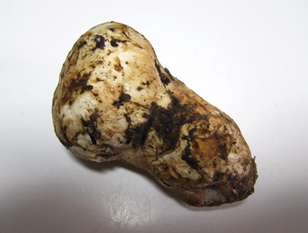 b0289649_9403265.jpg
