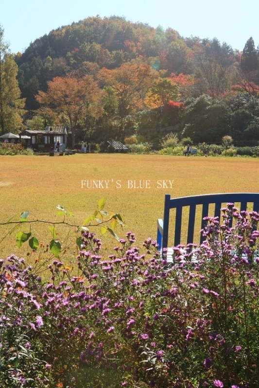 c0145250_10065356.jpg