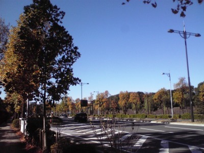 f0057955_17431995.jpg