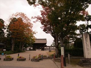 d0045362_10313561.jpg